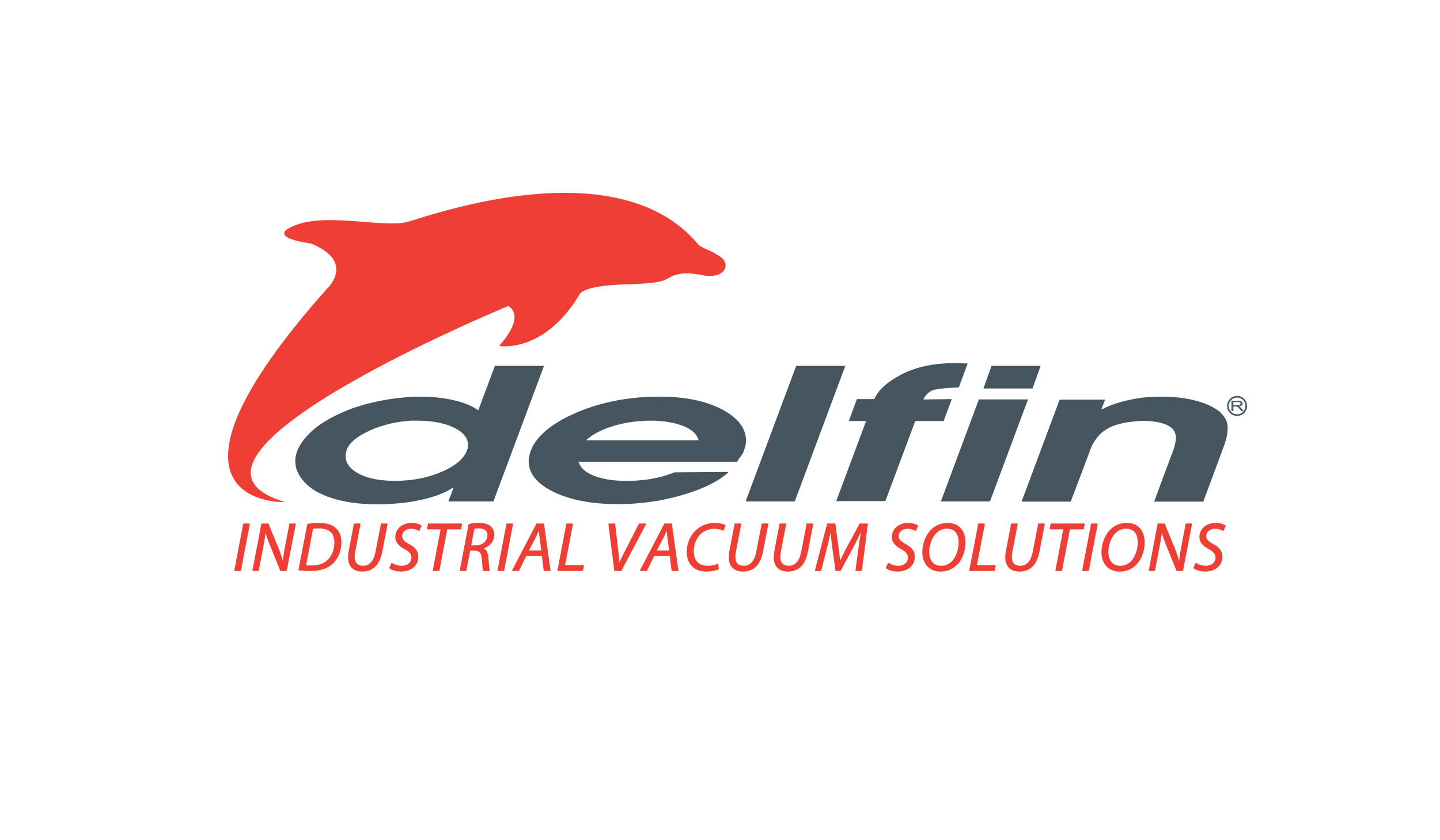 Delfin Srl