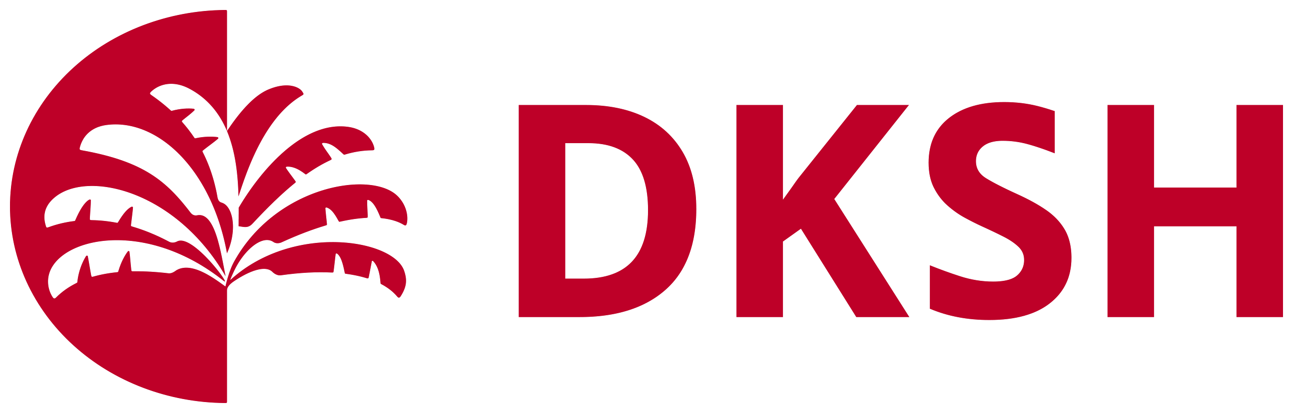 DKSH CHINA