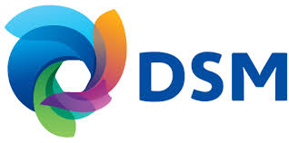 DSM