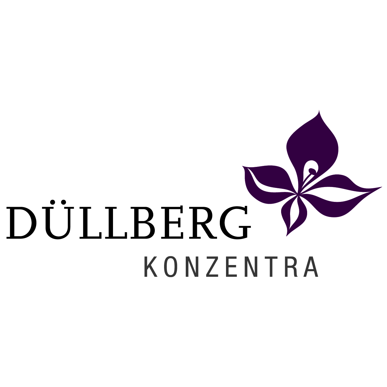 Duellberg Konzentra Gmbh&Co. KG