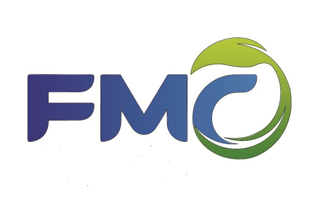 FAMACY GROUP CORP