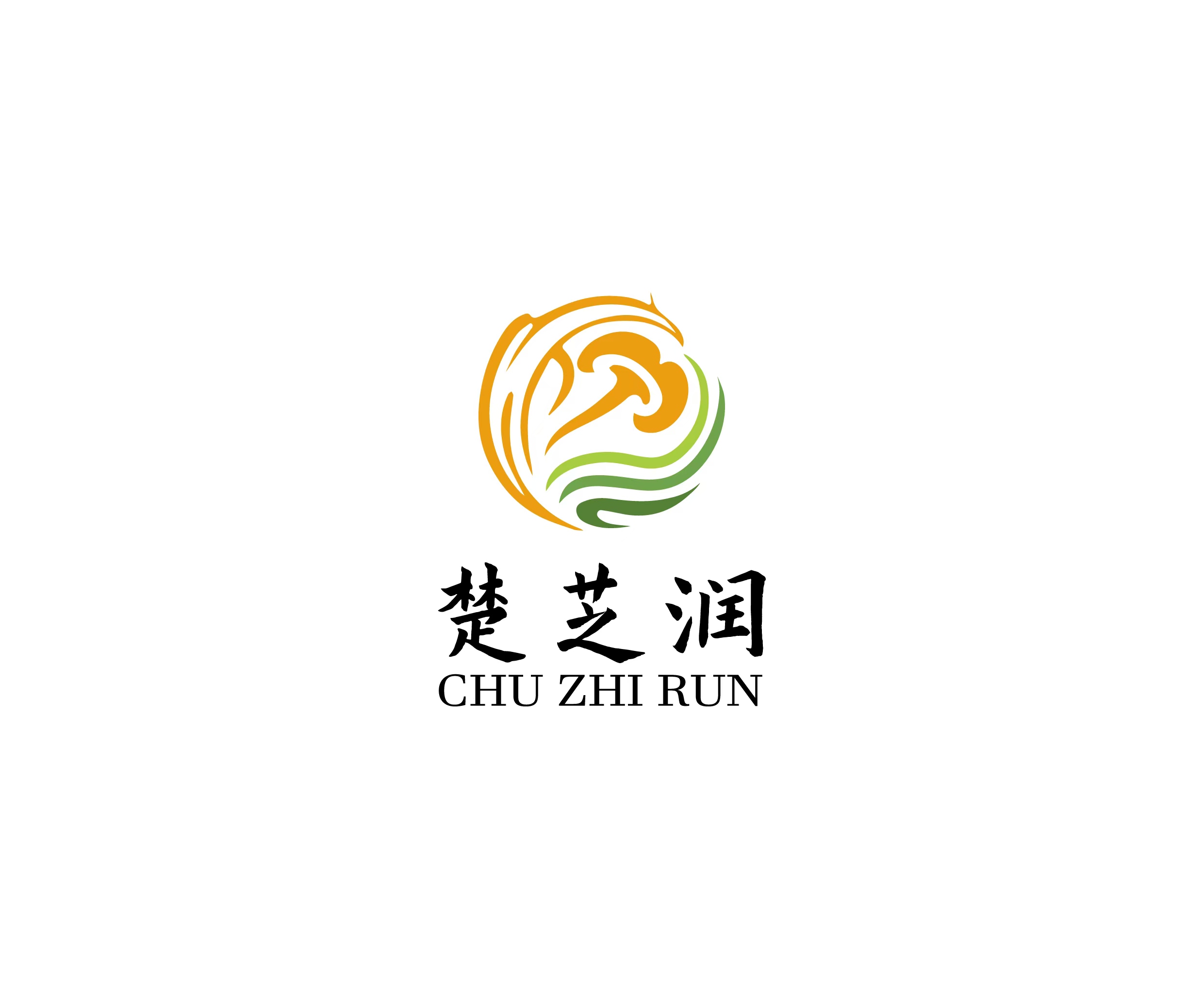 Hubei Chuzhirun Pharmaceutical Technology Co., Ltd.