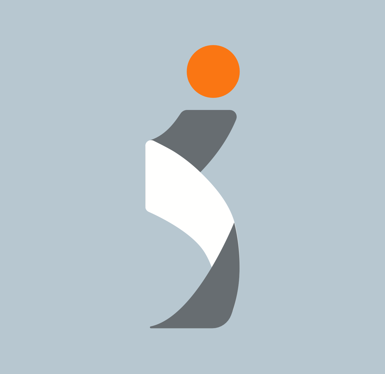 INDUBOT SRL