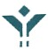 Jiangsu Shenhua Pharmaceutical Co., Ltd.