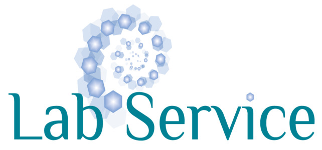 Lab Service S.A. 