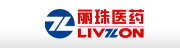 LIVZON GROUP NINGXIA NEW NORTH RIVER PHARMACEUTICAL CO., LTD.