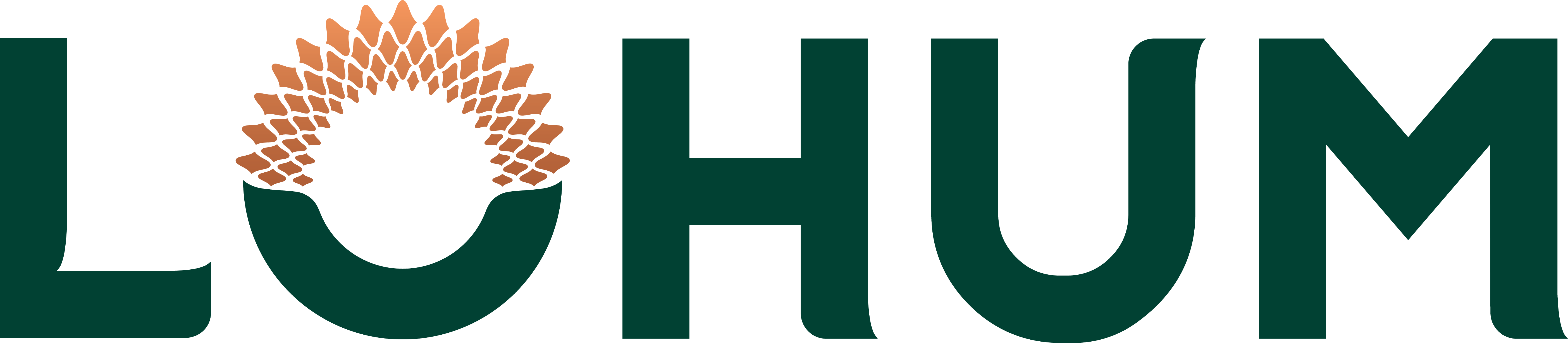 Lohum Catalyst Pvt Ltd
