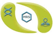 M R Sanghavi & Co.