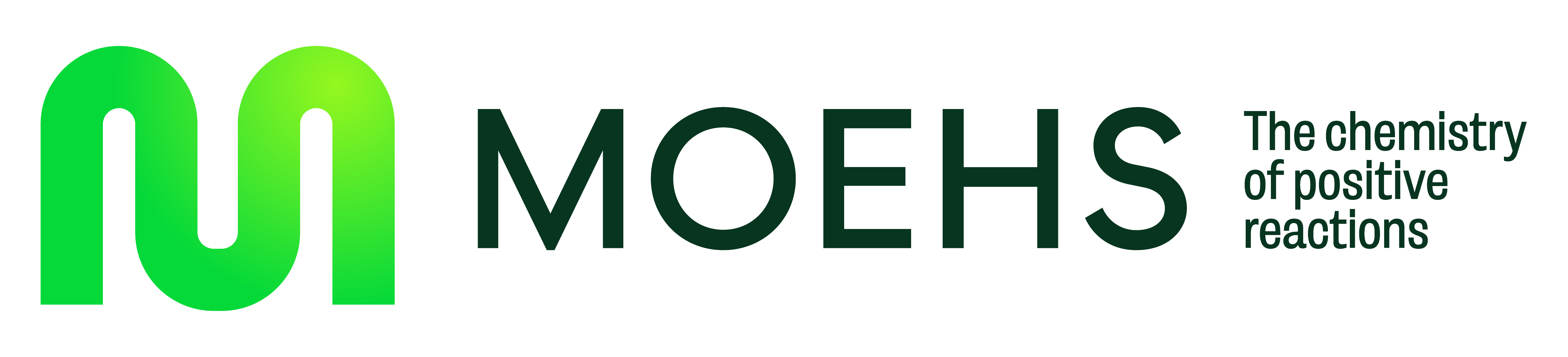 MOEHS IBERICA S.L