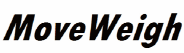 MoveWeigh Automation System Co., Ltd