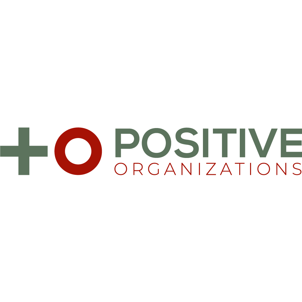 Positive Organizations