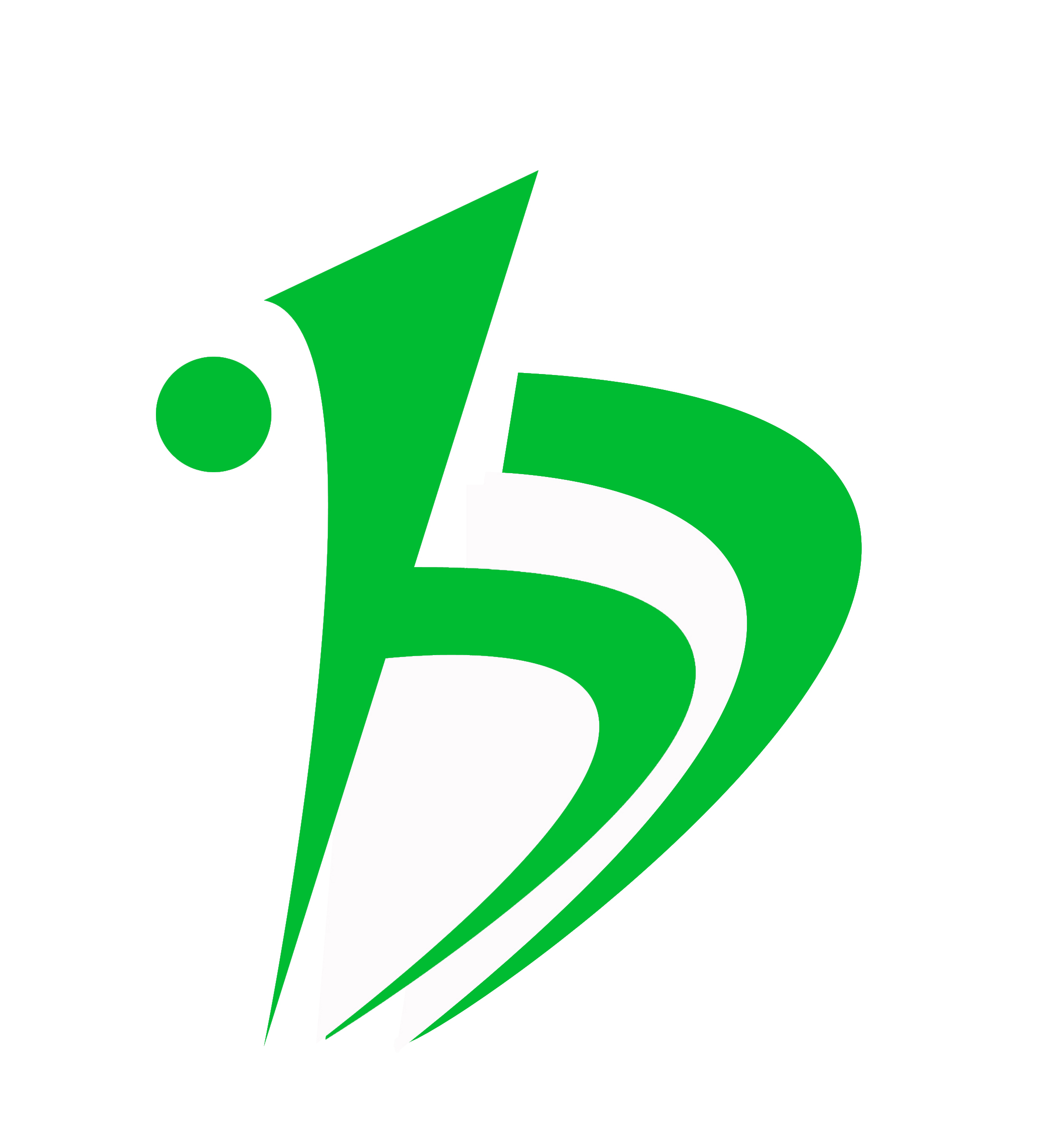 QINGDAO BAIJING METAL DETECTION TECHNOLOGY CO.,LTD.