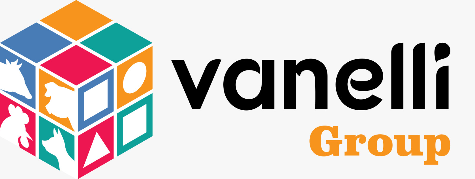SC Vanelli srl