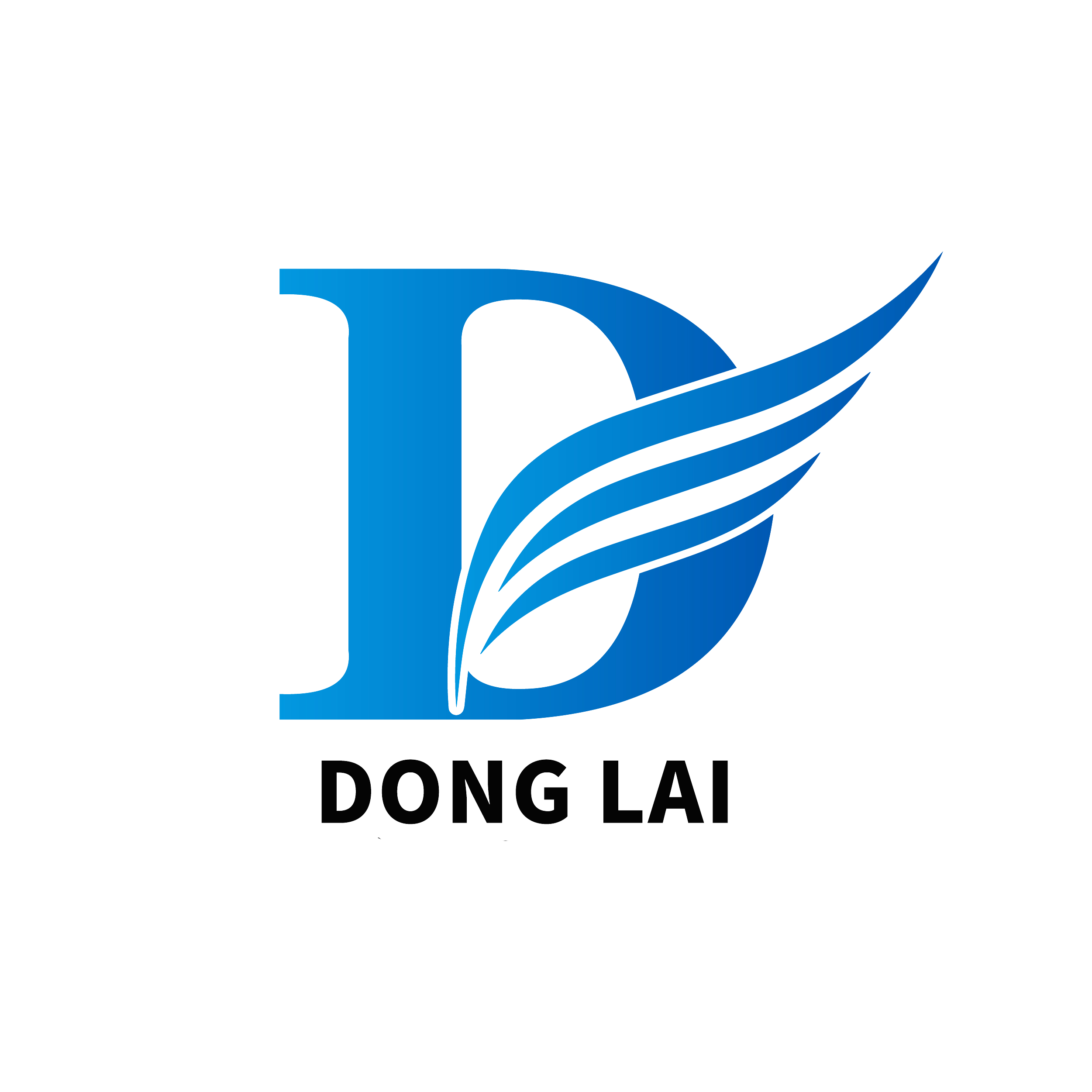Shandong Donglai Precision Instrument Co., Ltd