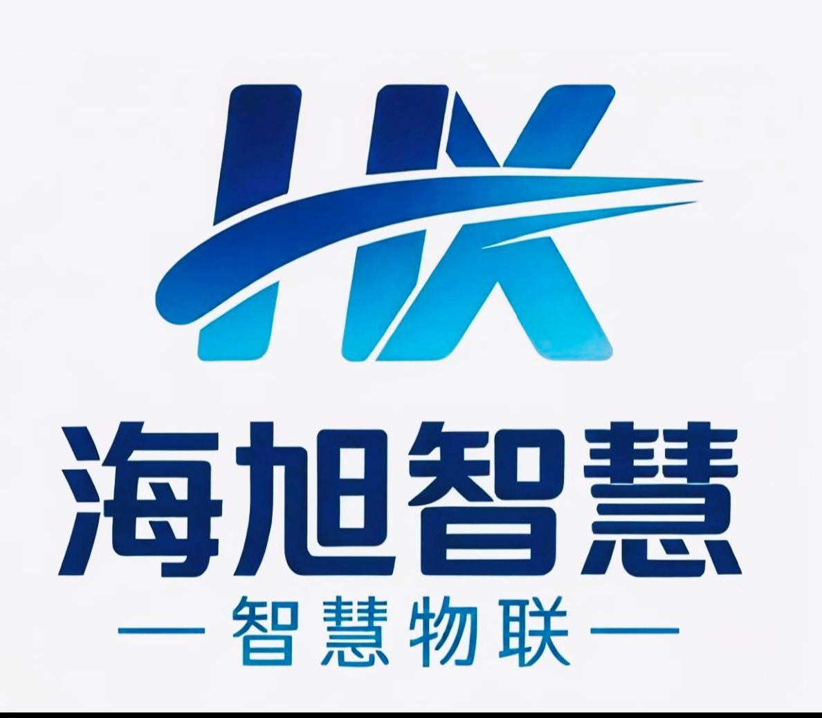 Shandong Haixu Smart Internet of Things Technology Co., Ltd.