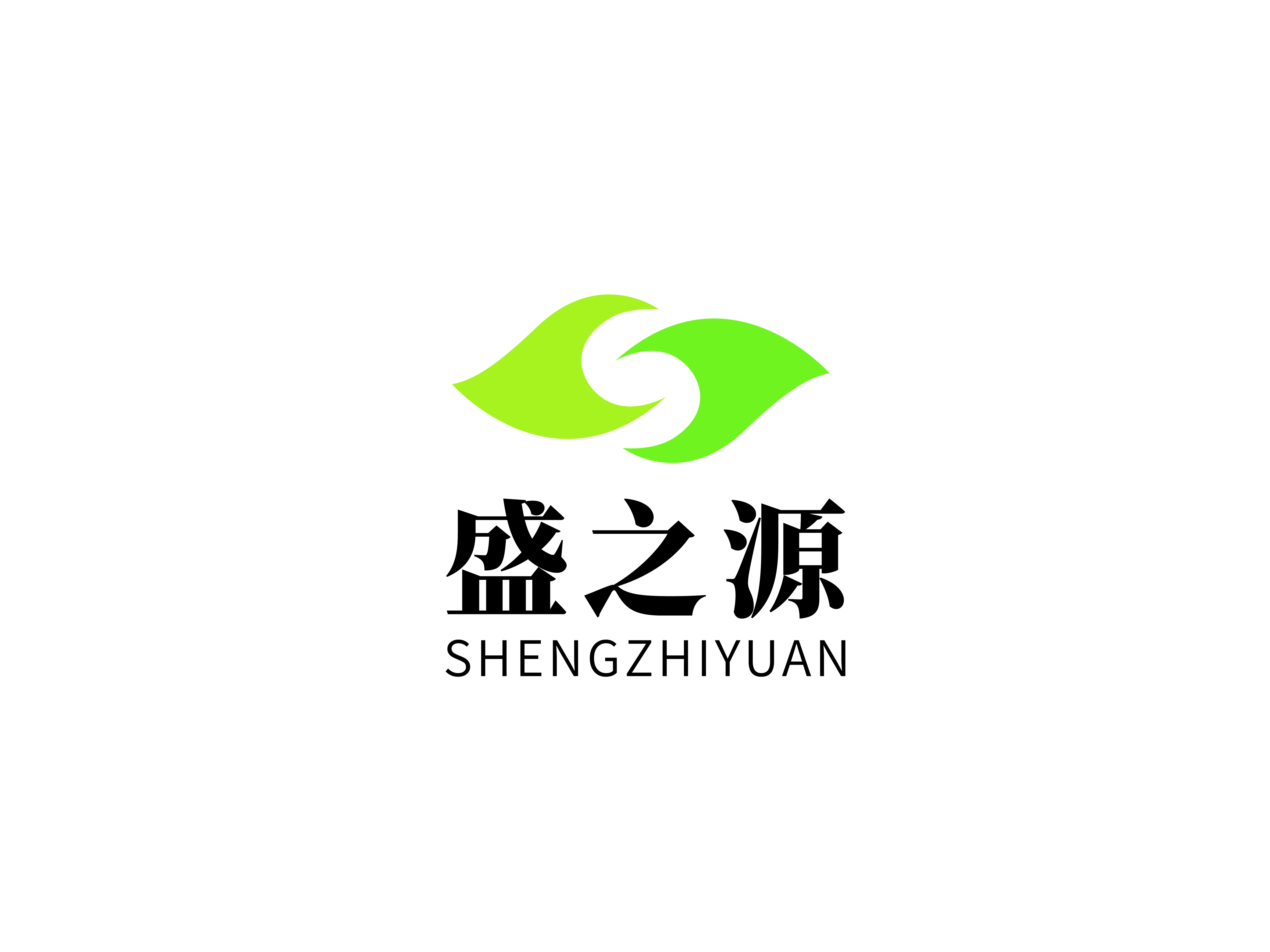Shandong Shengyuan Pharmaceutical Co., L