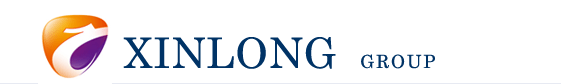 Shandong Xinlong International Co Ltd