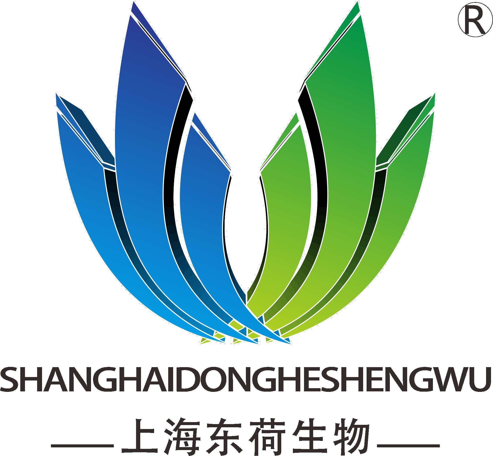 Shanghai Donghe Biotechnology Co., Ltd. Jian an Branch