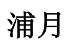 SHANGHAI PUJIN LINZHOU PHARMACEUTICAL CO., LTD