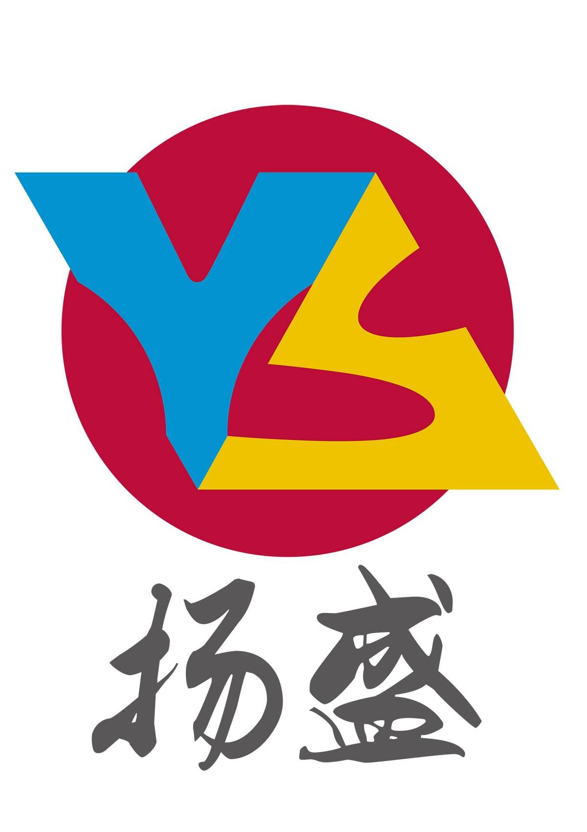 Shanghai Young Sun Printing Co., Ltd.