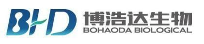 Sichuan Bohaoda Biotechnology Co.,Ltd.