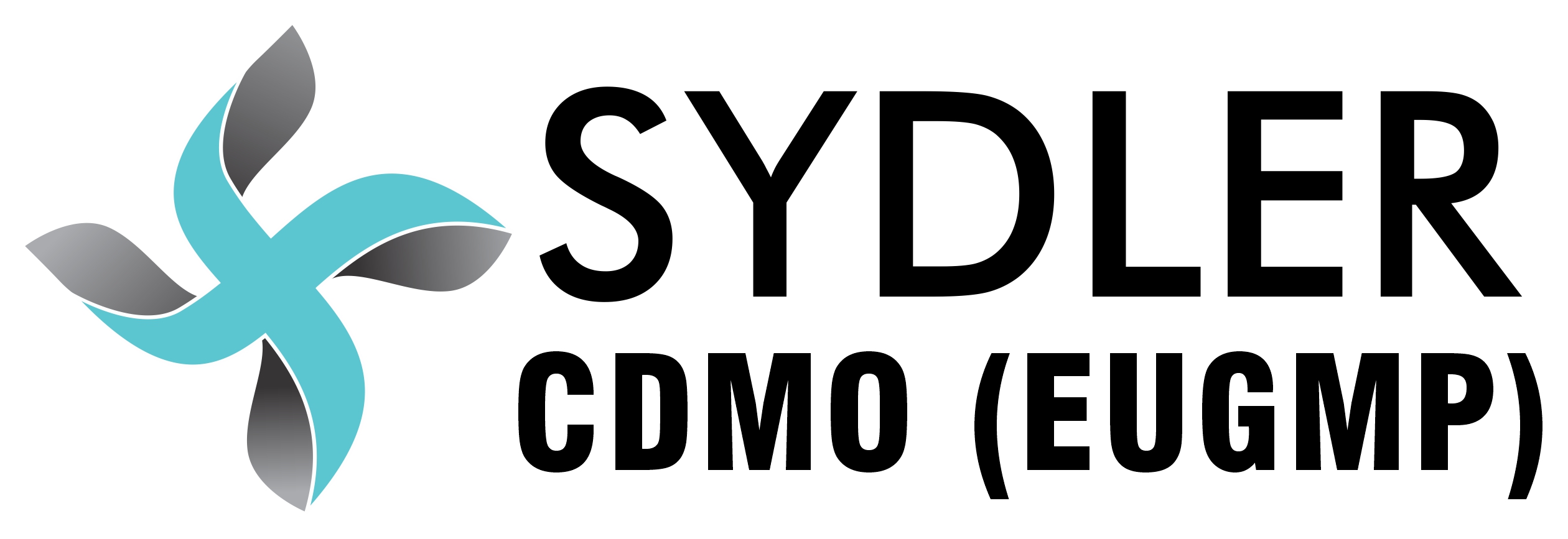 Sydler Remedies Pvt Ltd