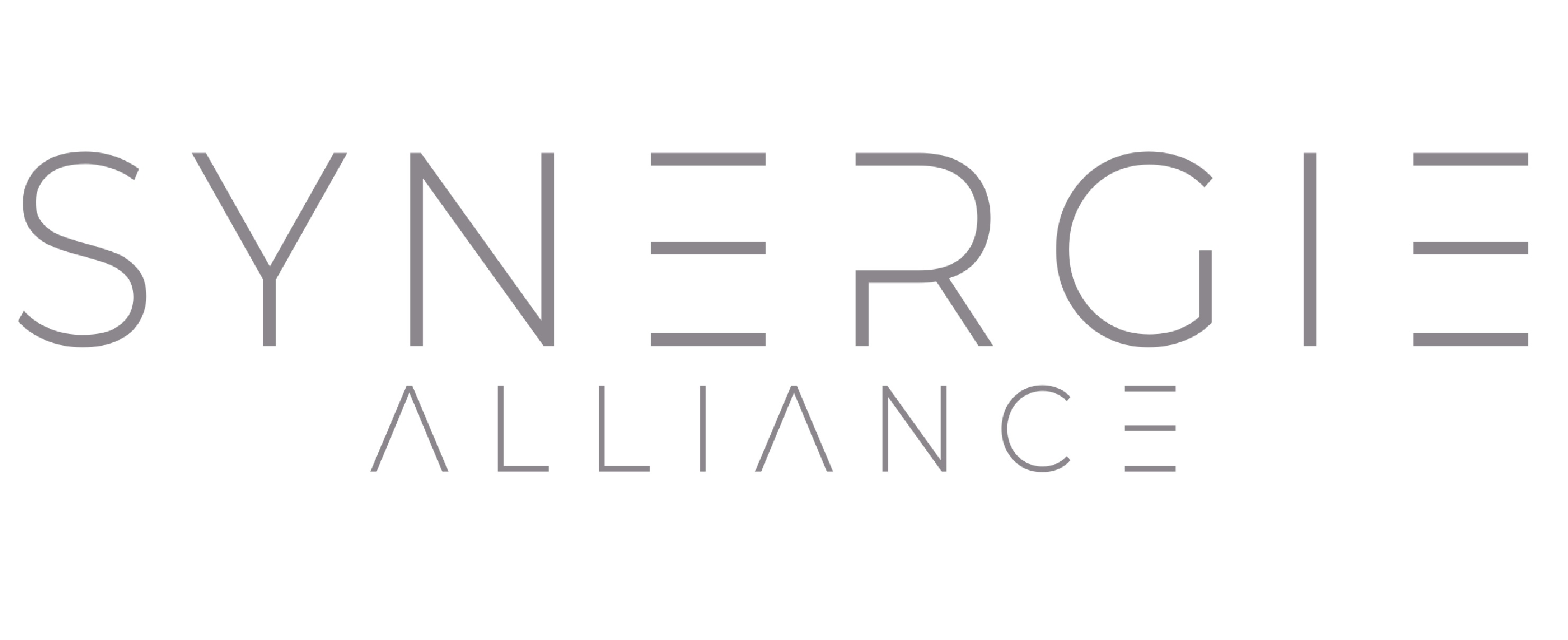 Synergie Alliance Pte. Ltd.