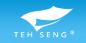 TEH SENG PHARMACEUTICAL