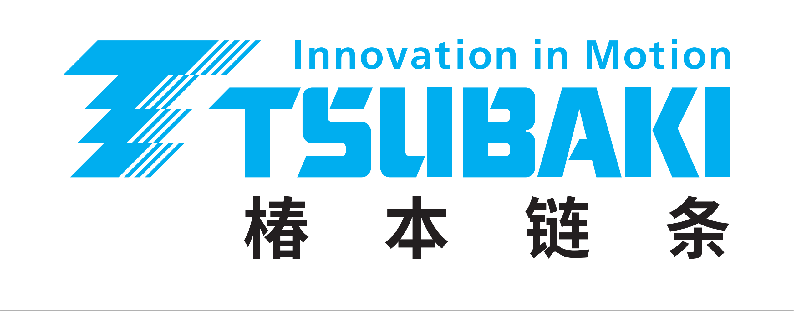 TSUBAKIMOTO CHAIN (SHANGHAI) CO., LTD