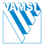 Vamsi Labs Ltd