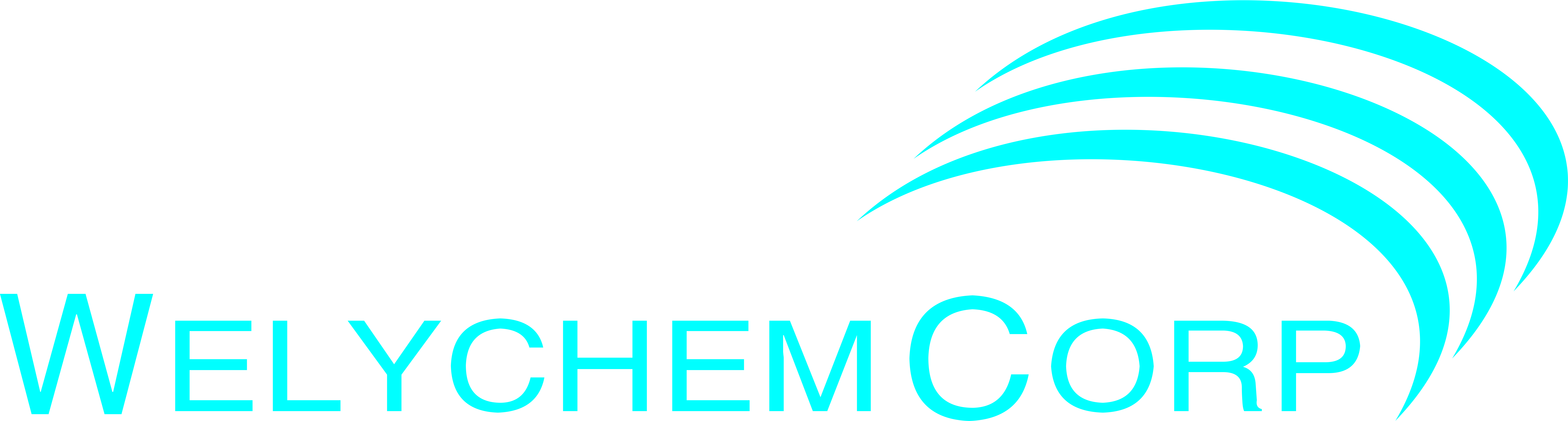 WELYCHEM CORPORATION LIMITED