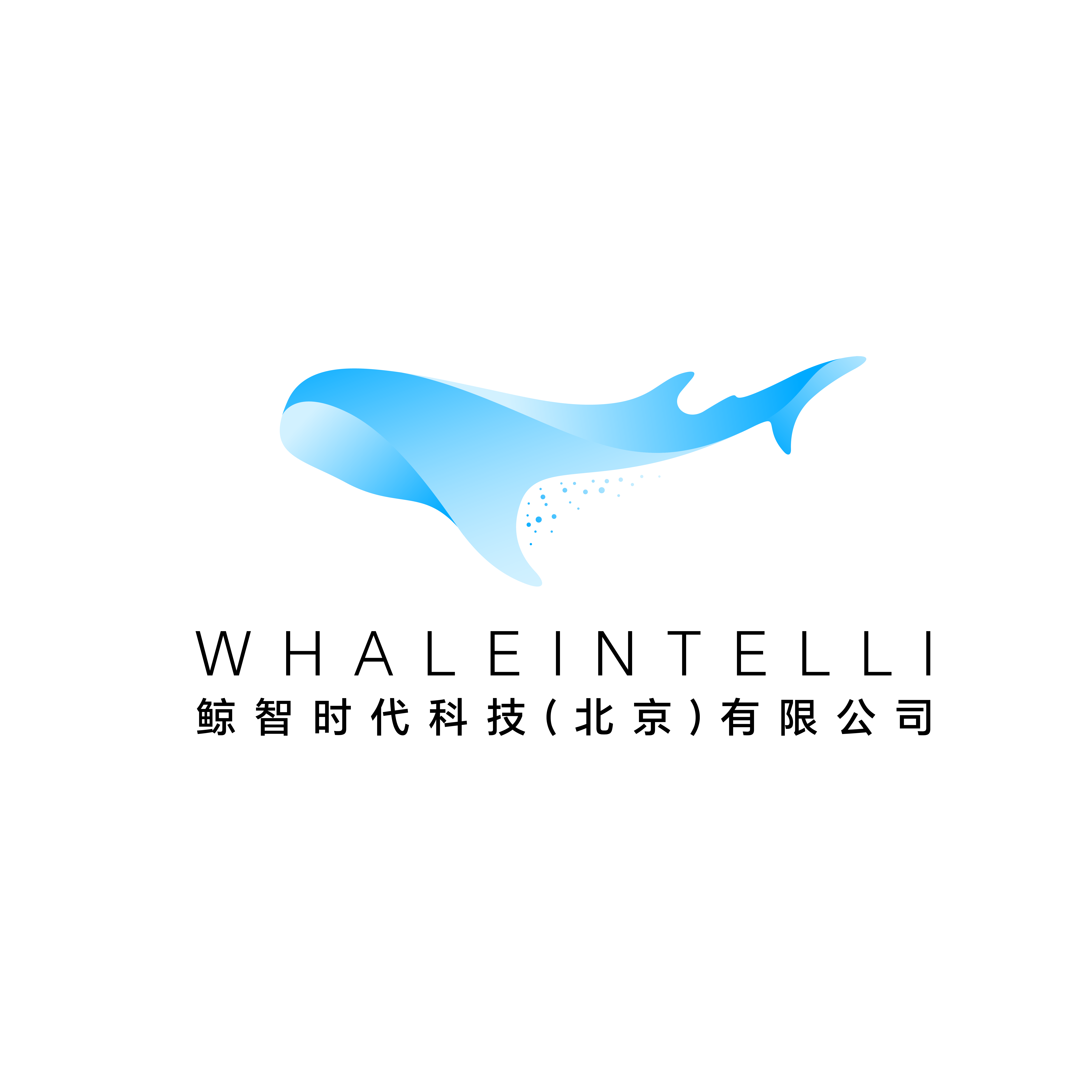 WhaleIntelli Technology（Beijing）Co., Ltd.