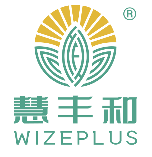 Zhejiang Wiseplus Health Technology Co., Ltd.