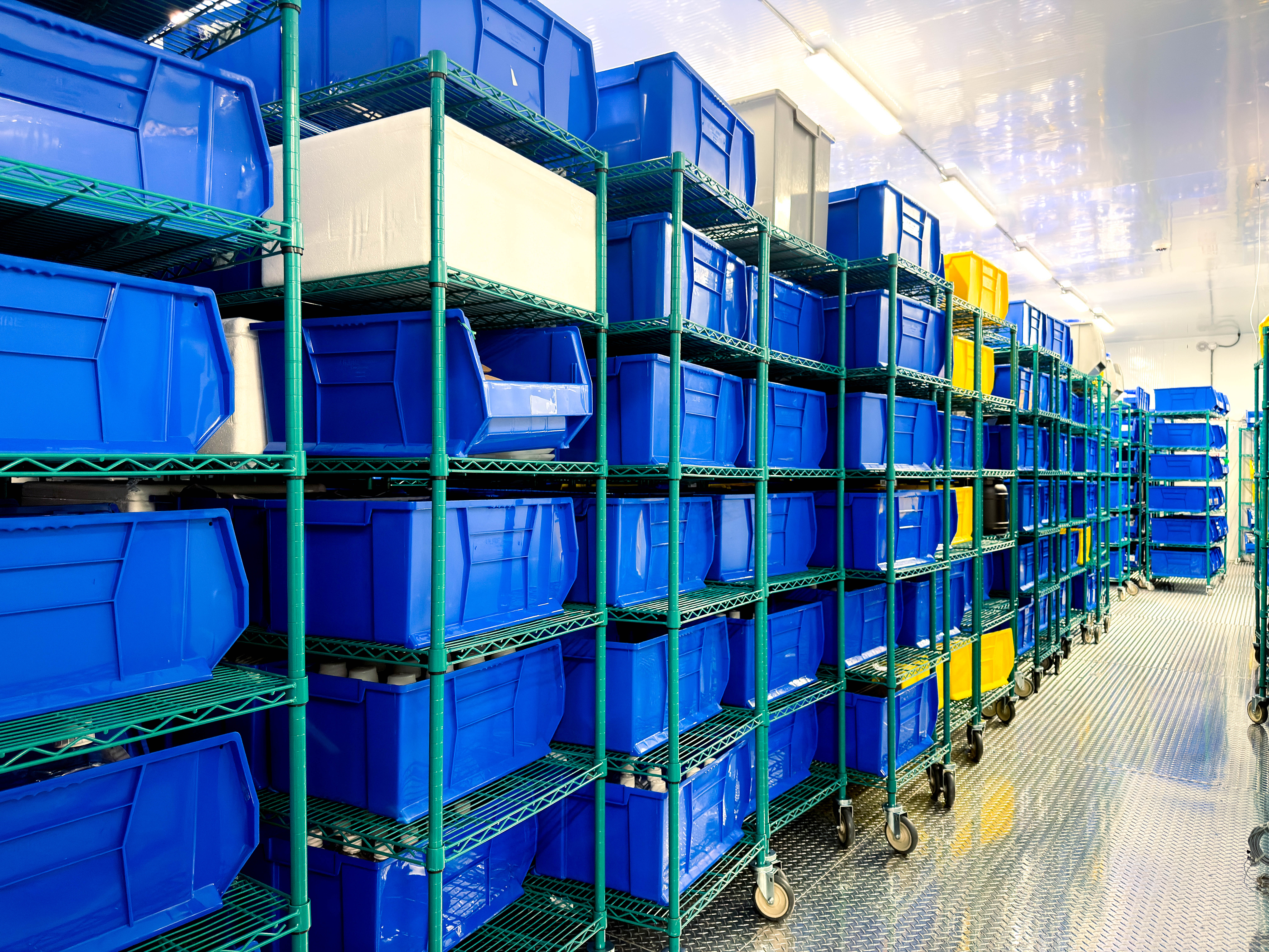 Cold Storage