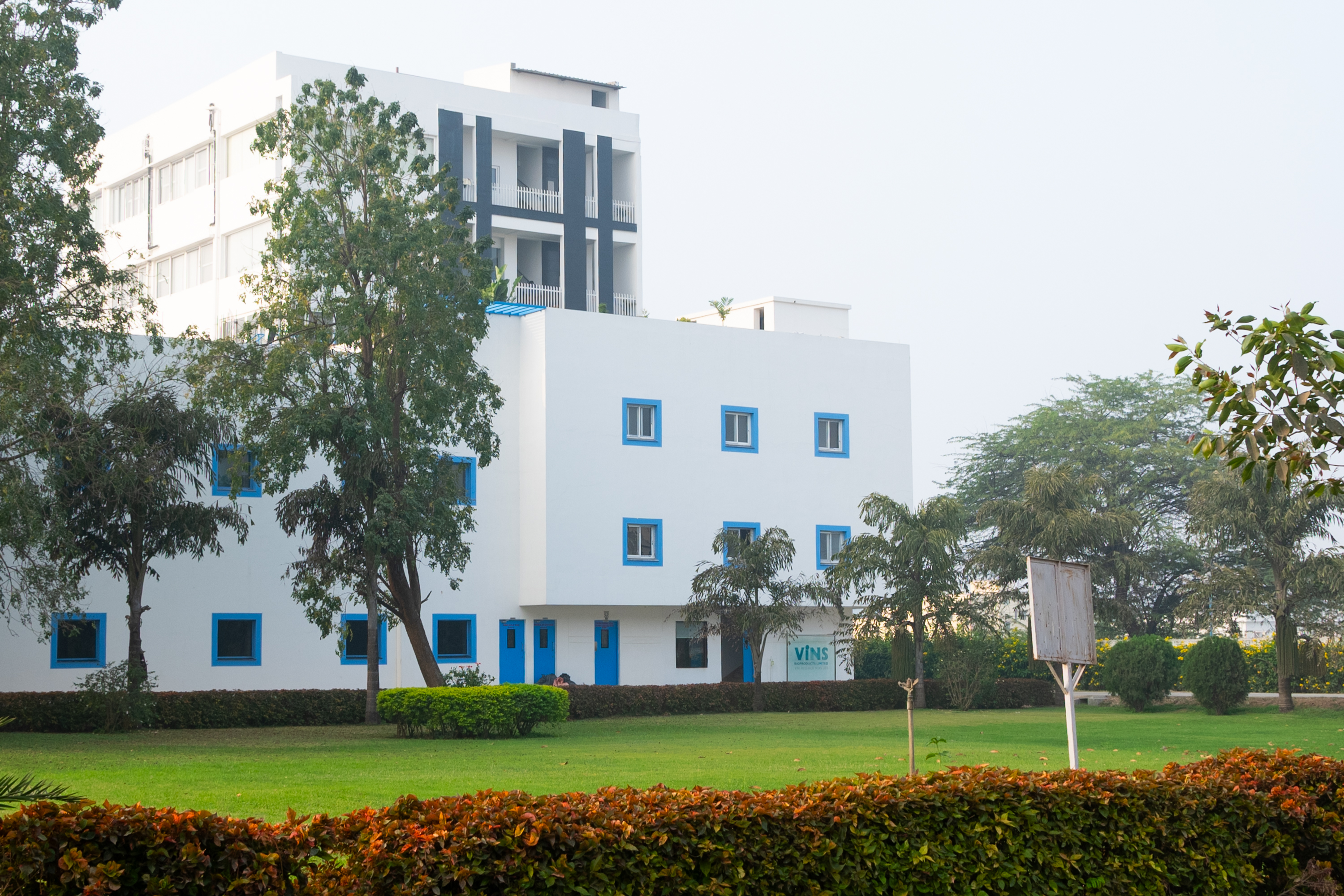 Company Profile