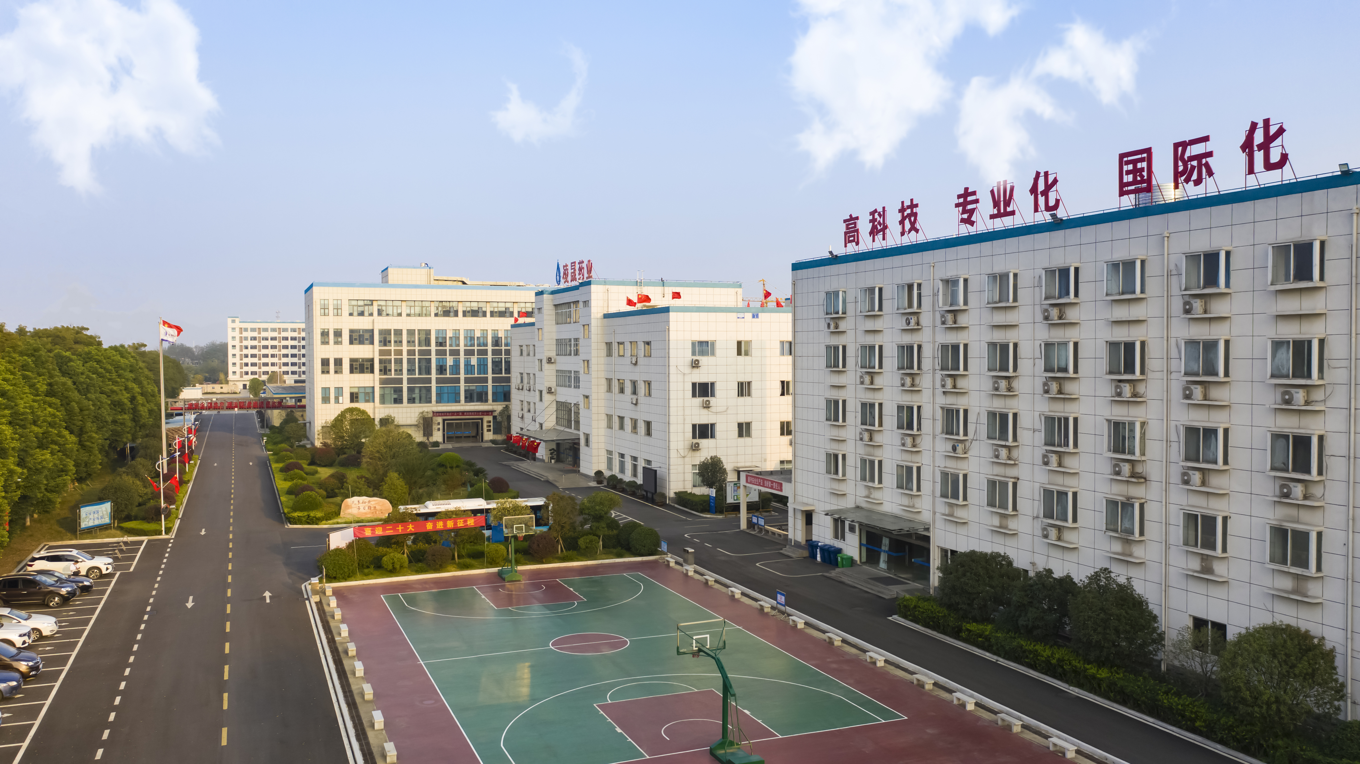 Company view