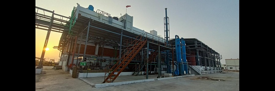 Delta Finochem Pvt. Ltd. Plant 2