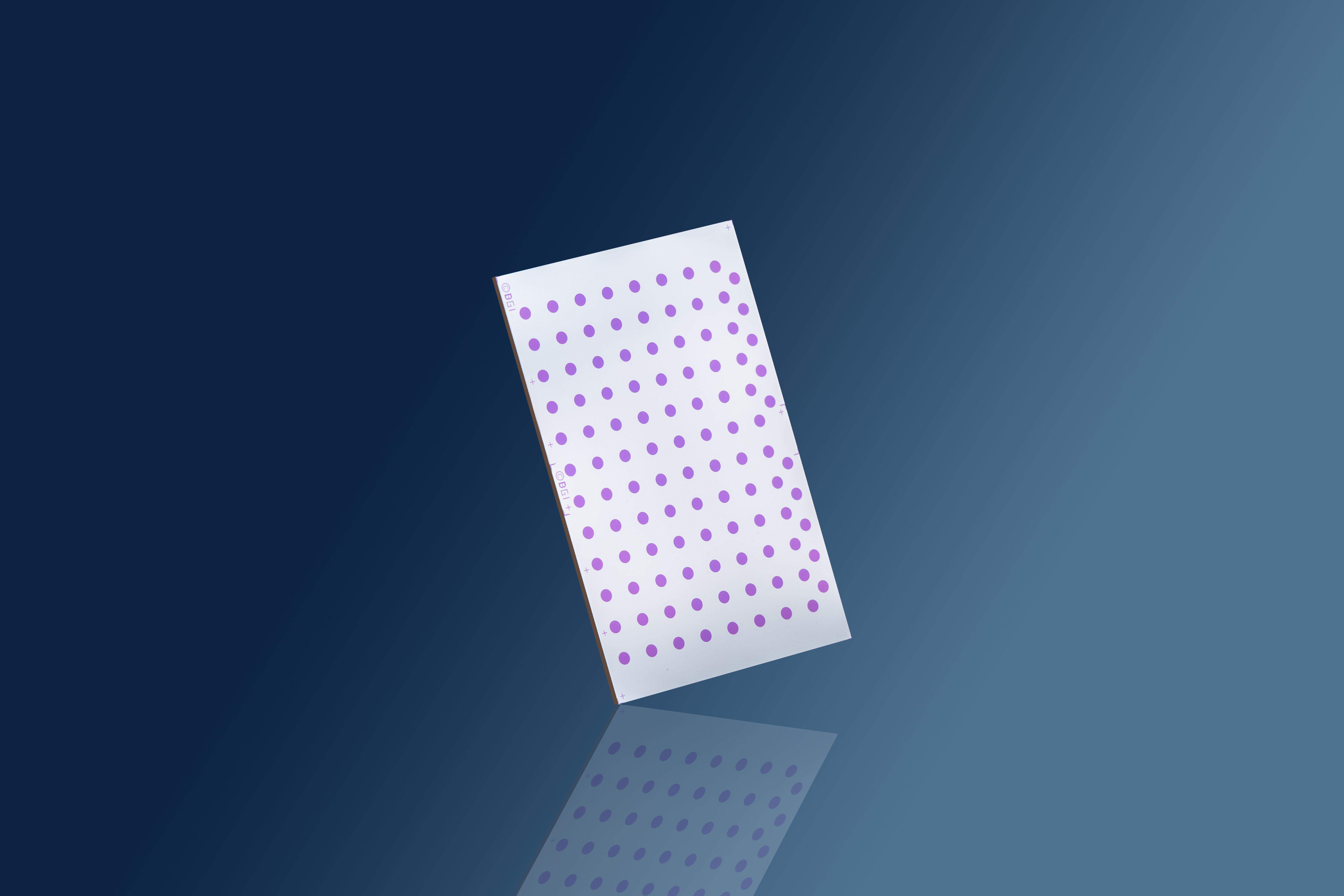 HICOMP Microwell Plates