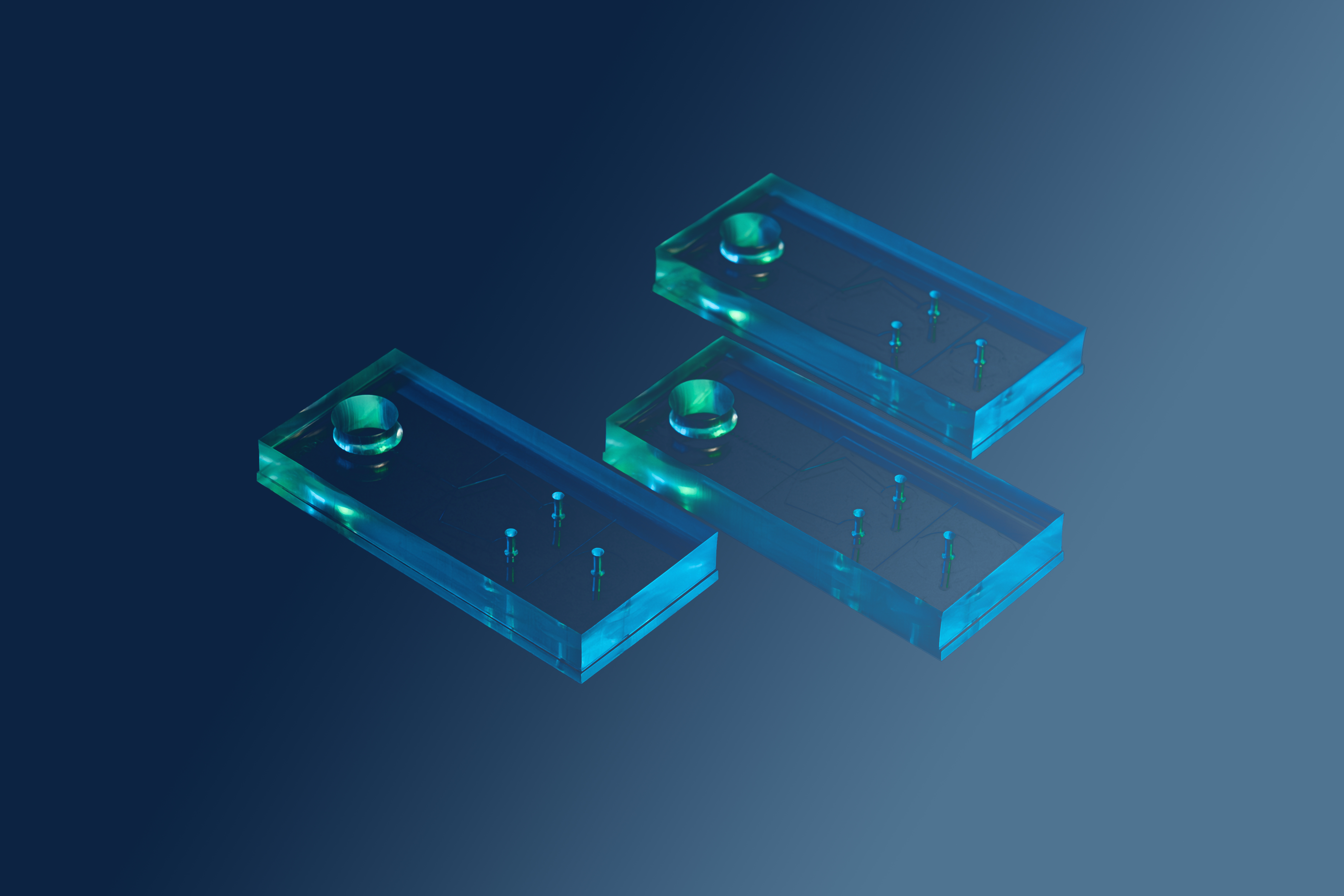 HICOMP PDMS