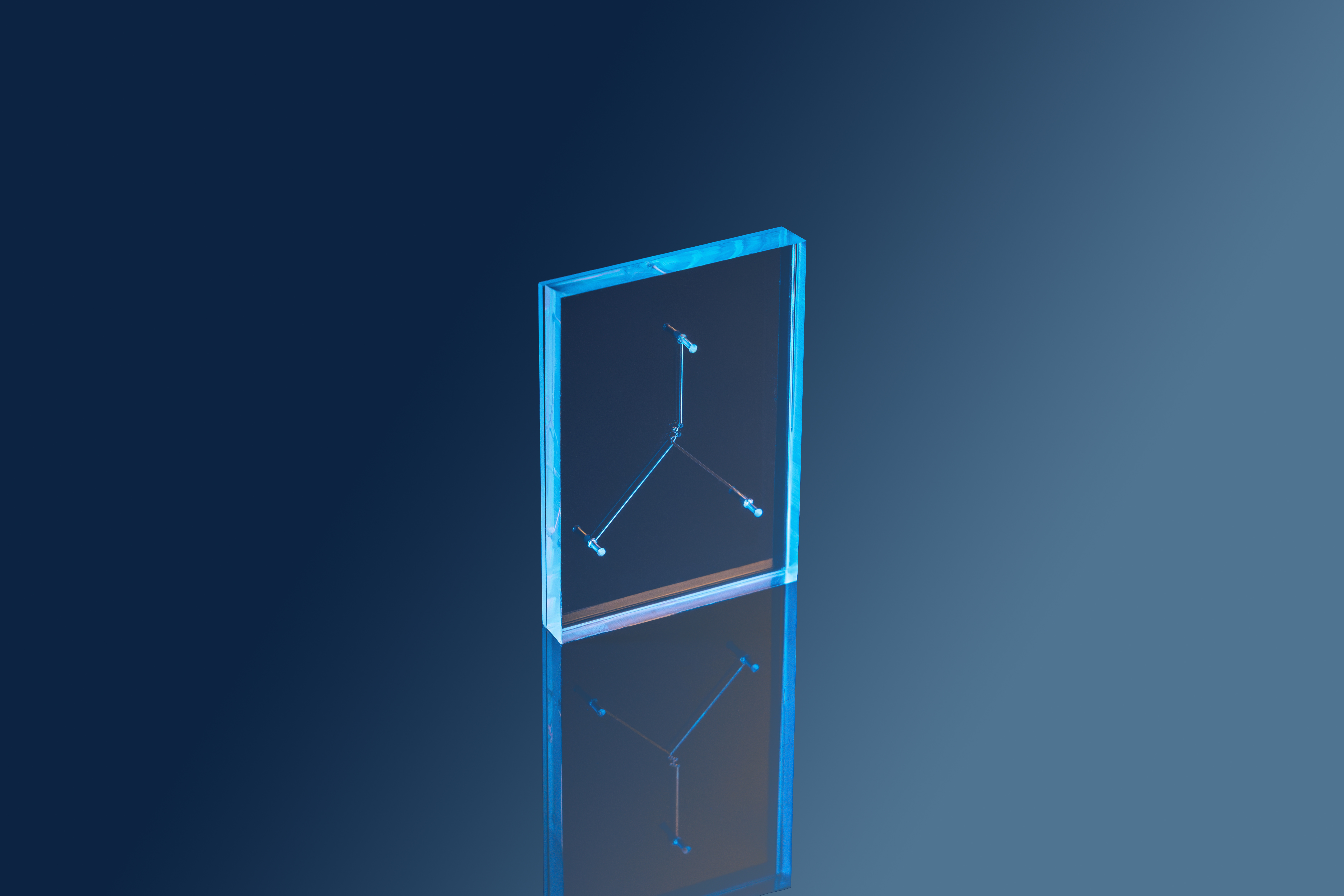 HICOMP PDMS