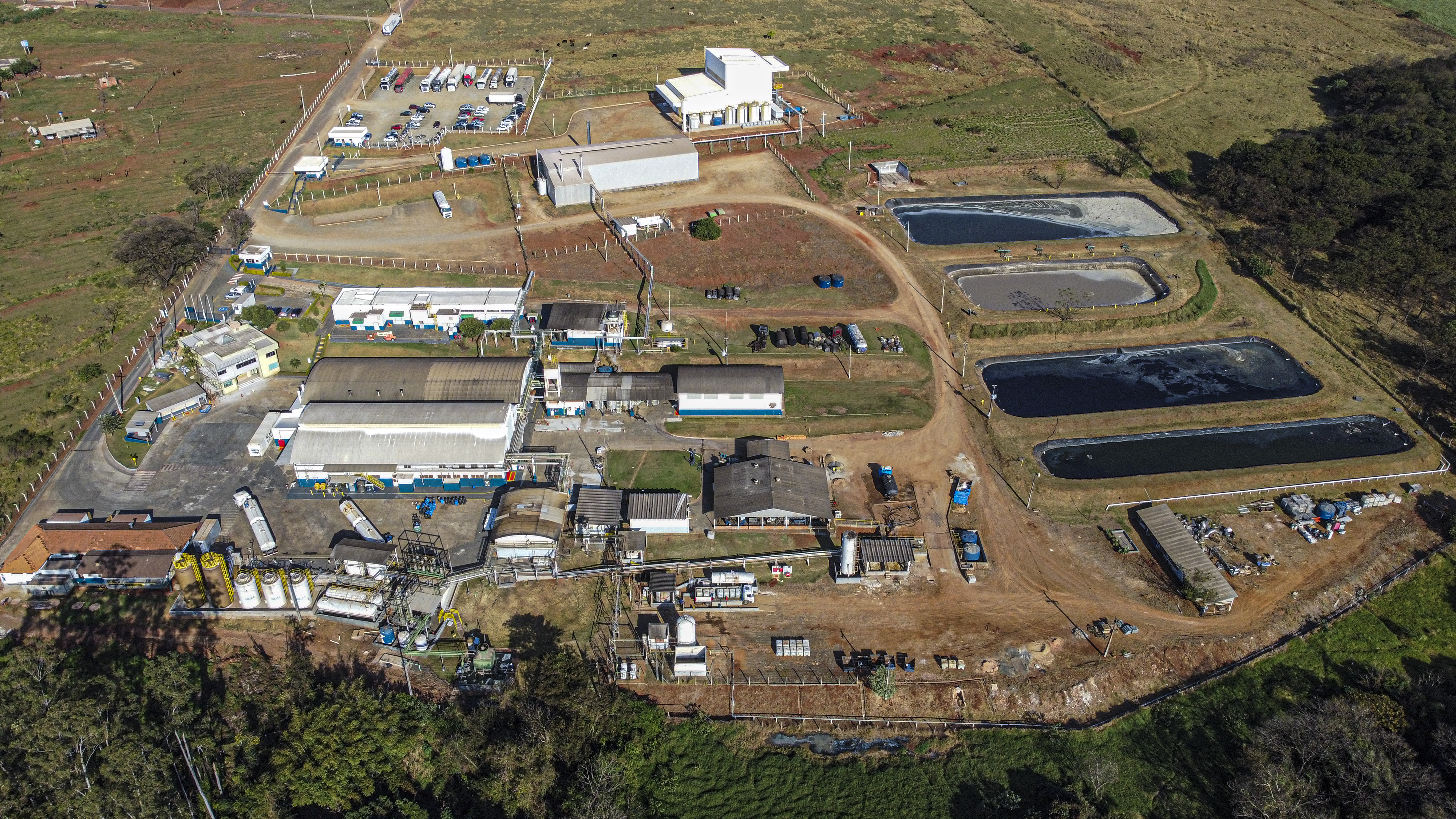 Jaguapita's site