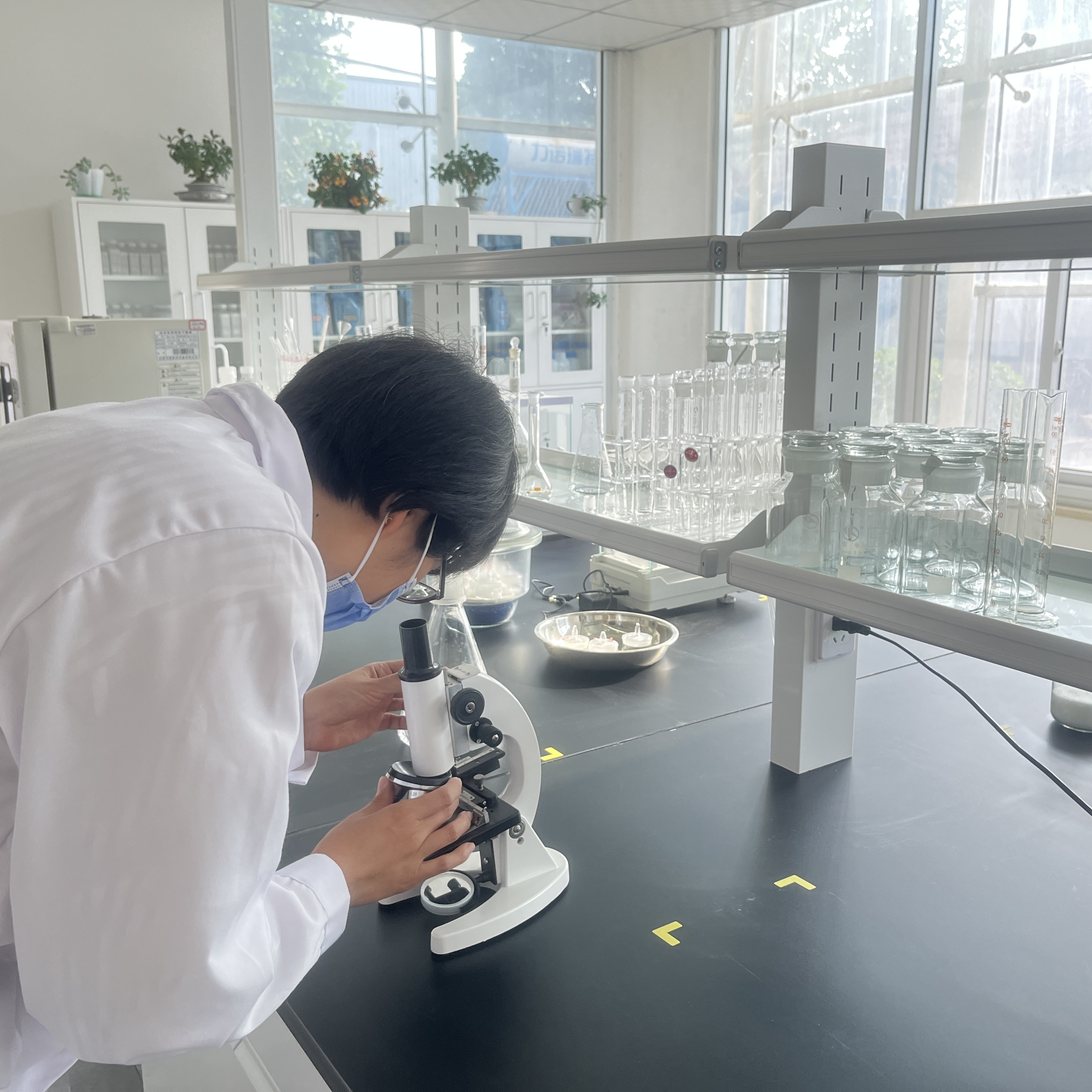 Lab