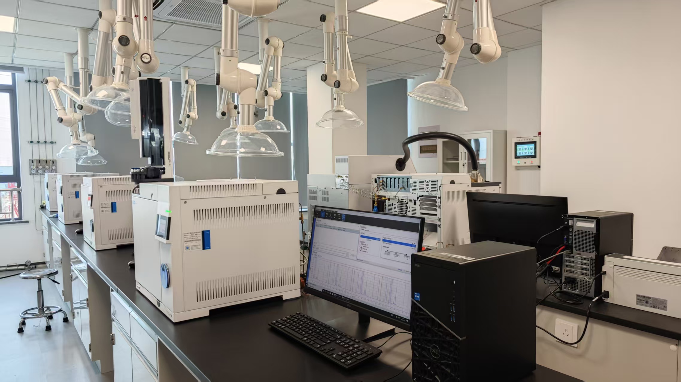 lab
