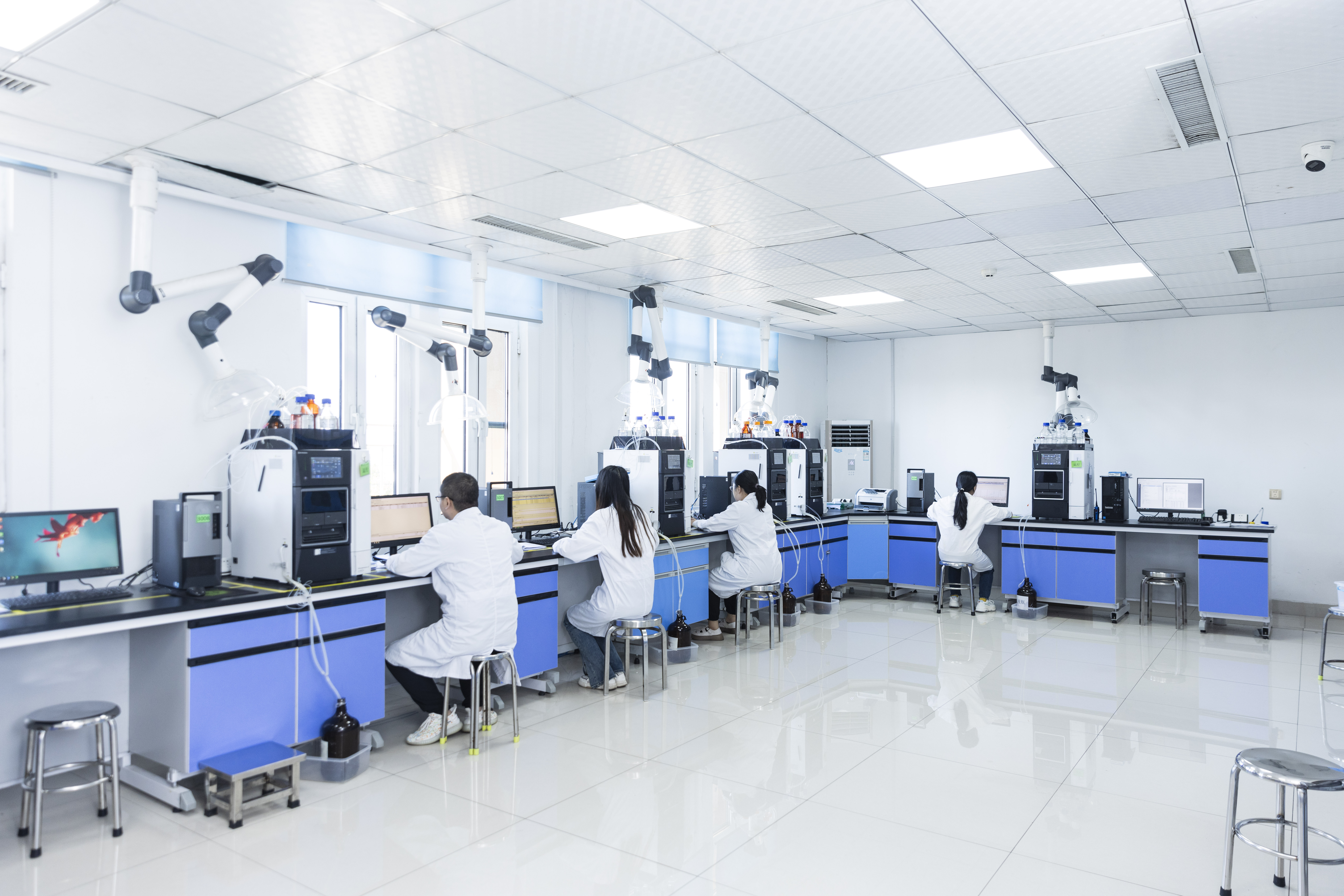 labs