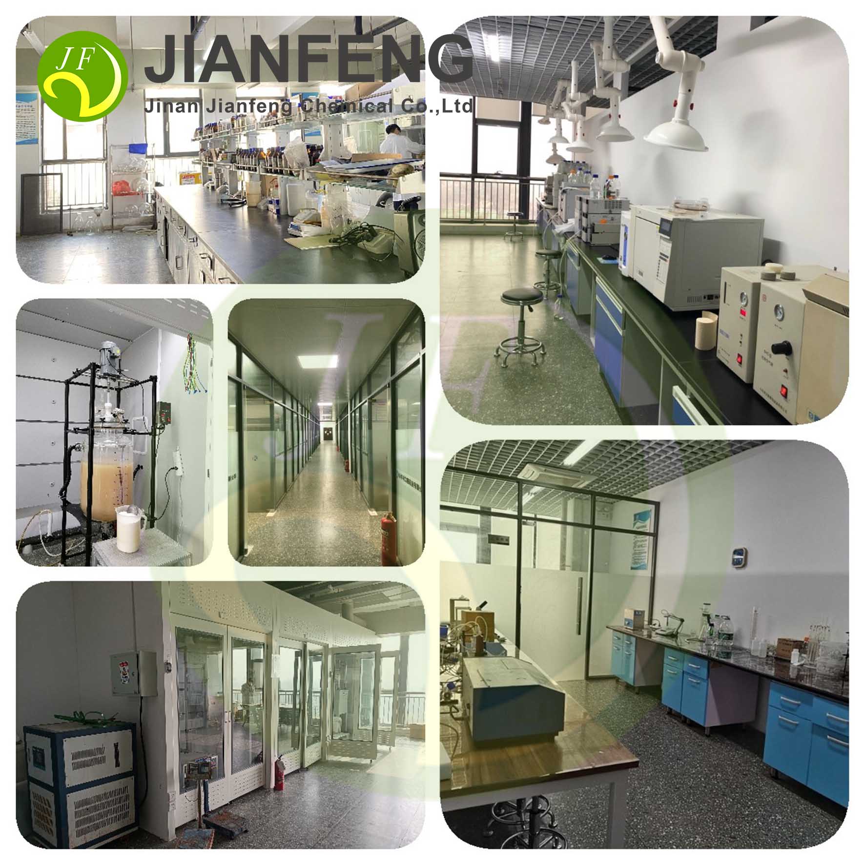 Our Company