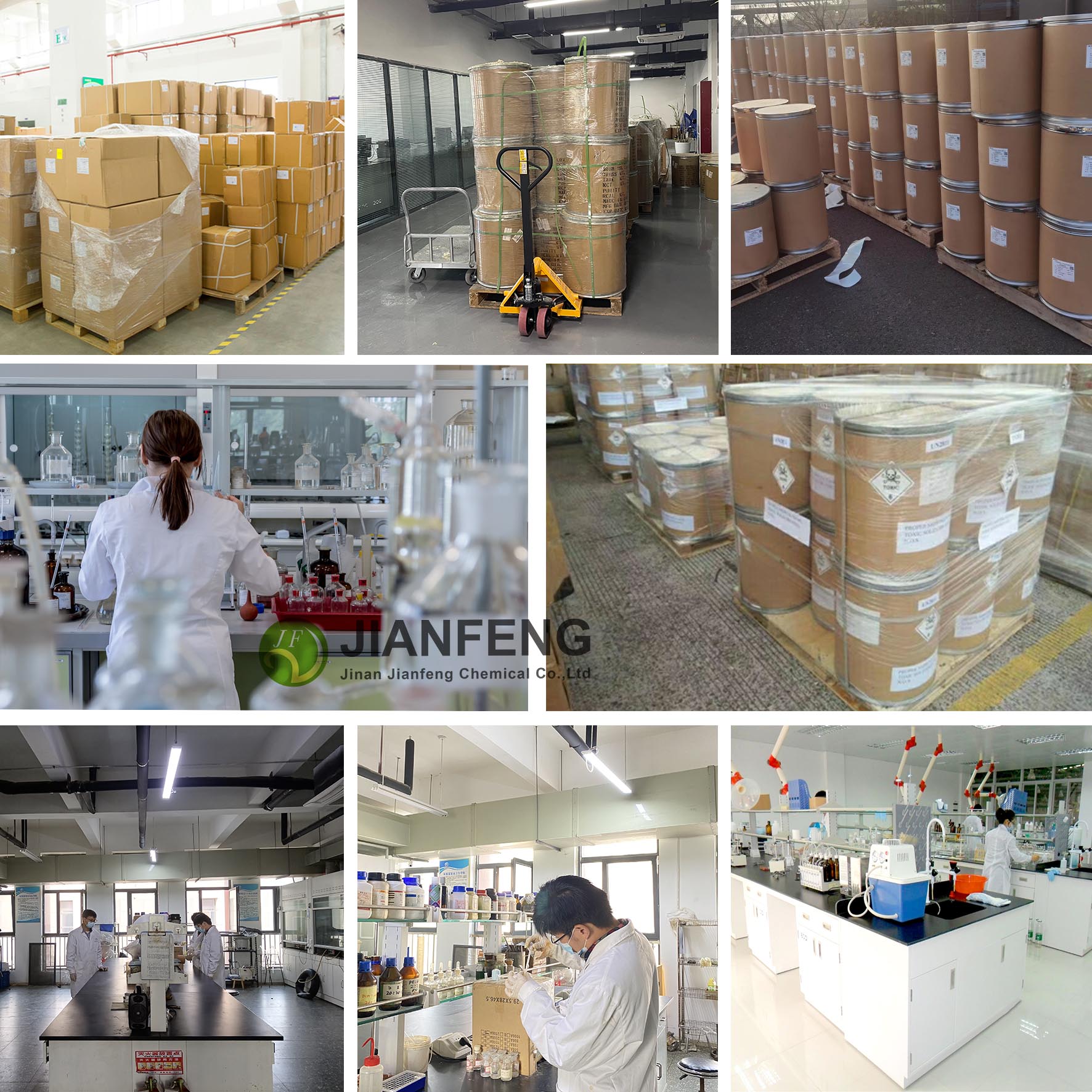 Our Company