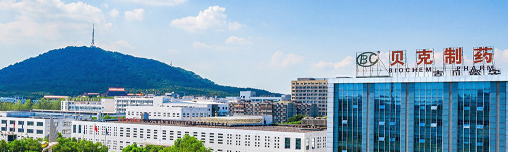 Panoramic view