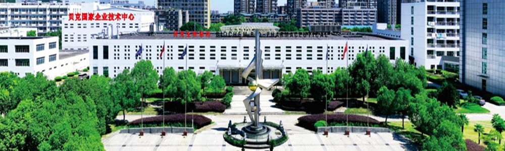 Panoramic view