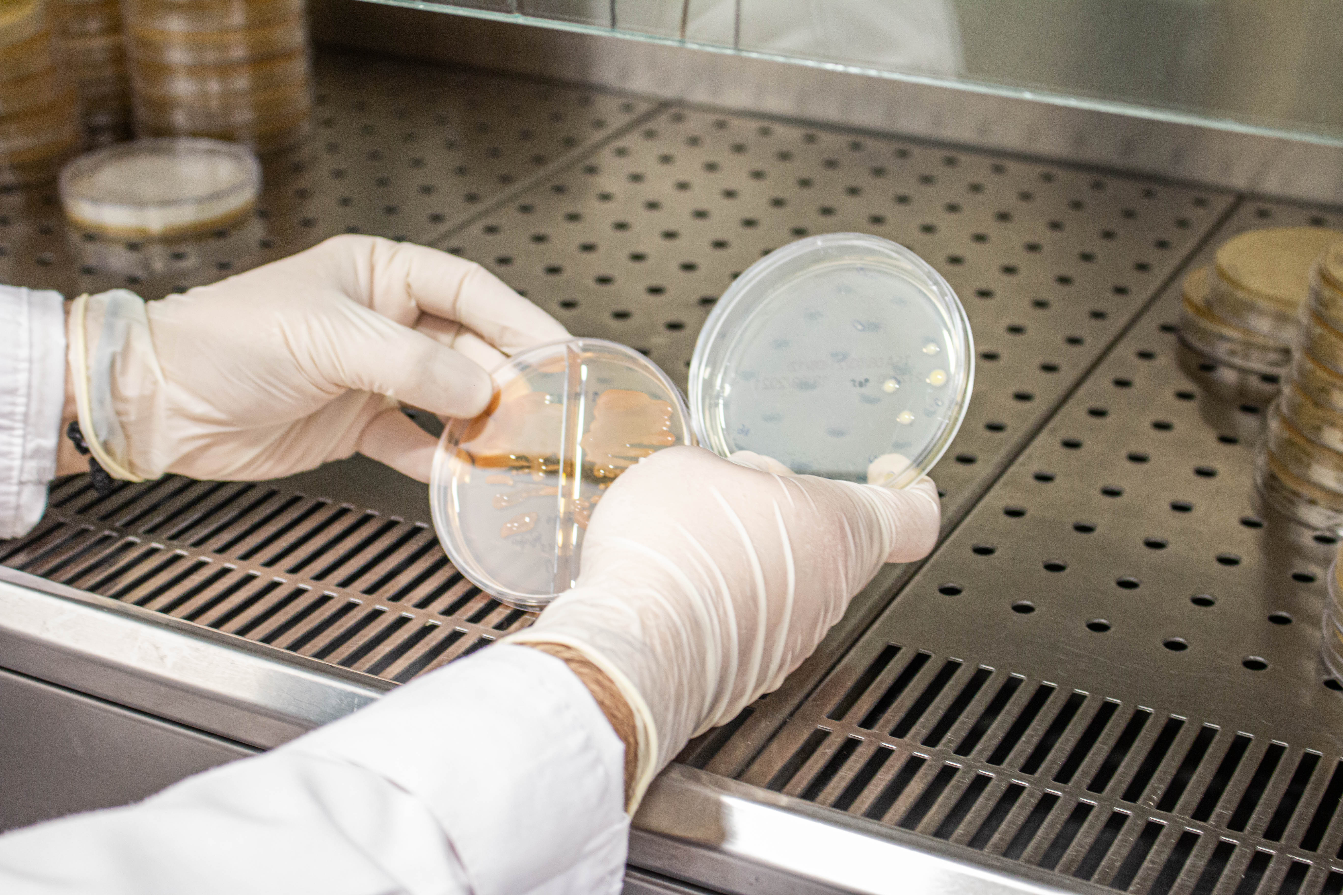 Pharma Testing Services