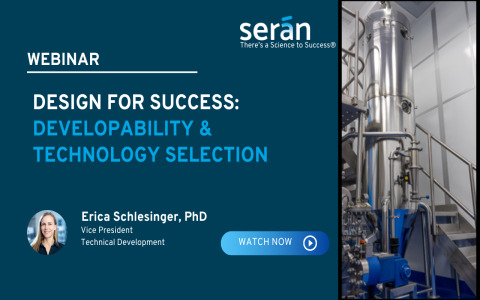 Design for Success: Developability and Technology Selection